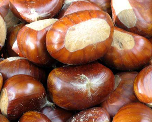 cortadas para asar 1